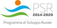 logo psr