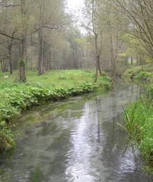 Sorgente Resenzuola