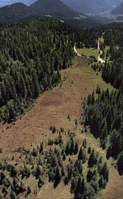 Veduta Palu Longia
