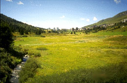 veduta Torbiera del Tonale