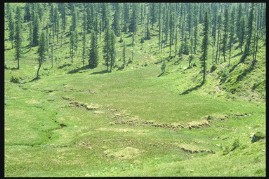 veduta Paludi di Malga Clevet