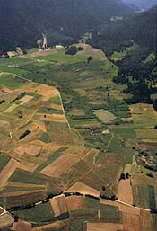 Veduta Fiav