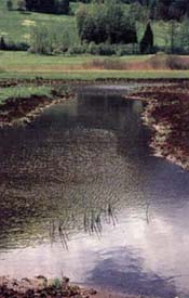 Veduta Fiav 2