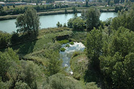 Veduta Adige 2