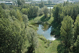 Veduta Adige 3