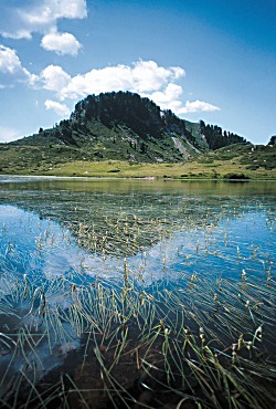 Lago delle Buse - Lagorai - ph A. Agostini