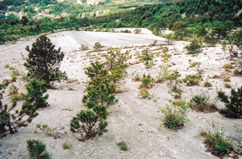 Lasta dei Cavai - Monte Zugna - ph F. Bertolli 