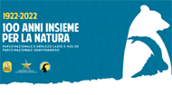 anteprima2